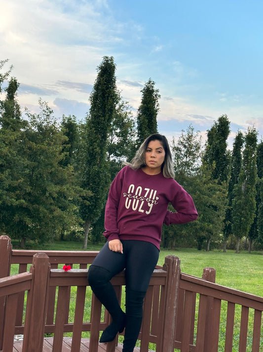Cozy Season Embroidered Sweatshirt